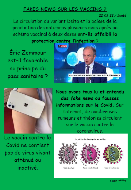 Article enzo vaccins