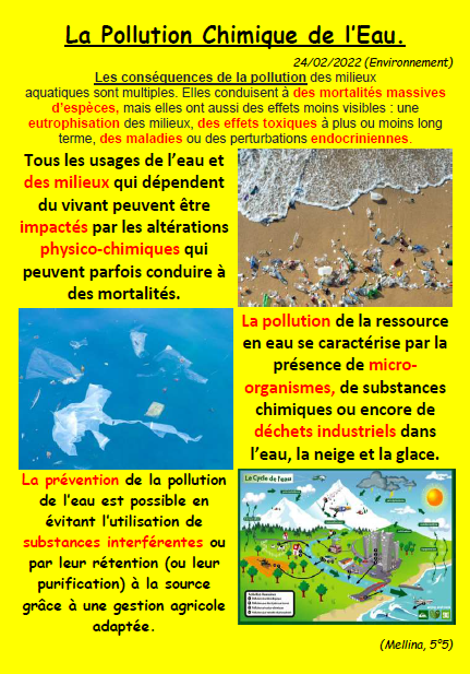 Article mellina pollution