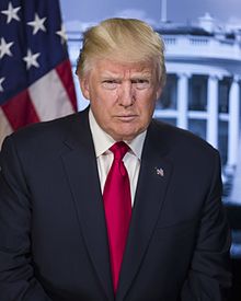 Donald trump official portrait