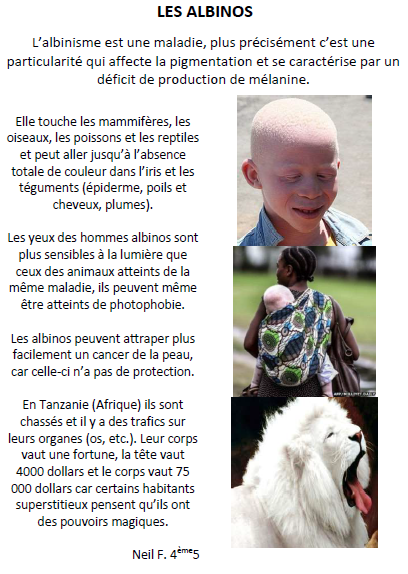 Albinos 1